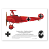 Fokker DR.I JG1 Luftstreitkrafte The Red Baron 425/17 1918 Print